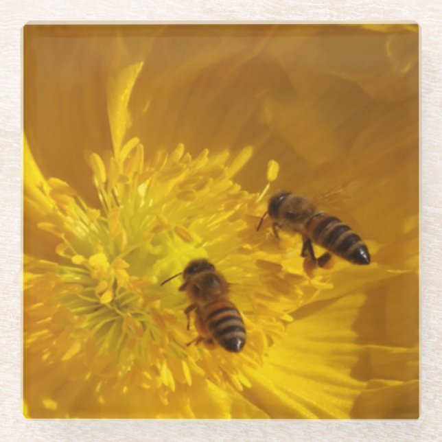 Posavasos De Vidrio Abejas Glass Coaster (Anverso)