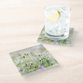 Posavasos de Vidrio - Acianos y Margaritas