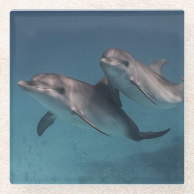 Posavasos De Vidrio Actitud juguetona (Anverso)