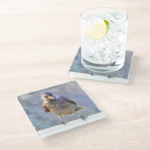 Posavasos De Vidrio Acuarela de Jackdaw