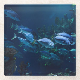 Posavasos De Vidrio Acuario