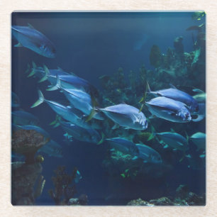 Posavasos De Vidrio Acuario