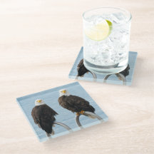 Águilas calvas con vida salvaje divertida