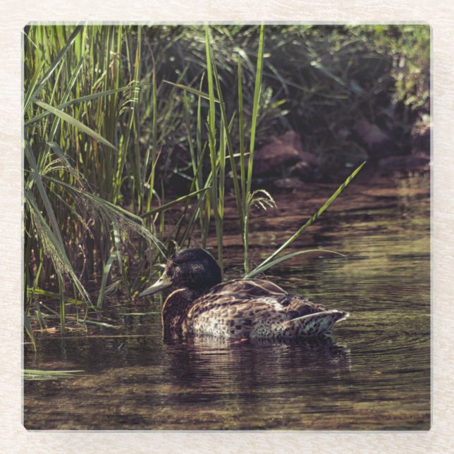 Posavasos De Vidrio Al borde de Pond (Anverso)