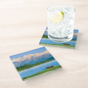 Posavasos De Vidrio Alce macho en Wonder Lake
