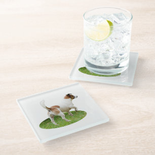 Posavasos De Vidrio "Alerta y lista: Un terror zorro marrón y blanco