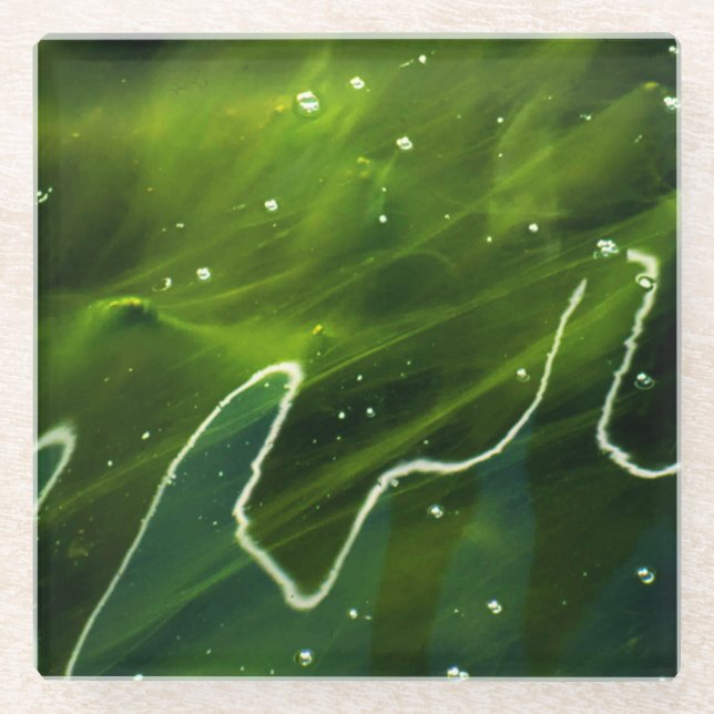 Posavasos De Vidrio Algas verdes y coastín acuático (Anverso)