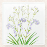 Posavasos De Vidrio Aluminio de vidrio de hilo azul y costra de costil<br><div class="desc">Una impresión de mi dibujo con tinta de setos de primavera flores azules y hierbas costilladas.</div>