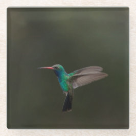 Posavasos De Vidrio Alumnaina de gran tamaño en vuelo