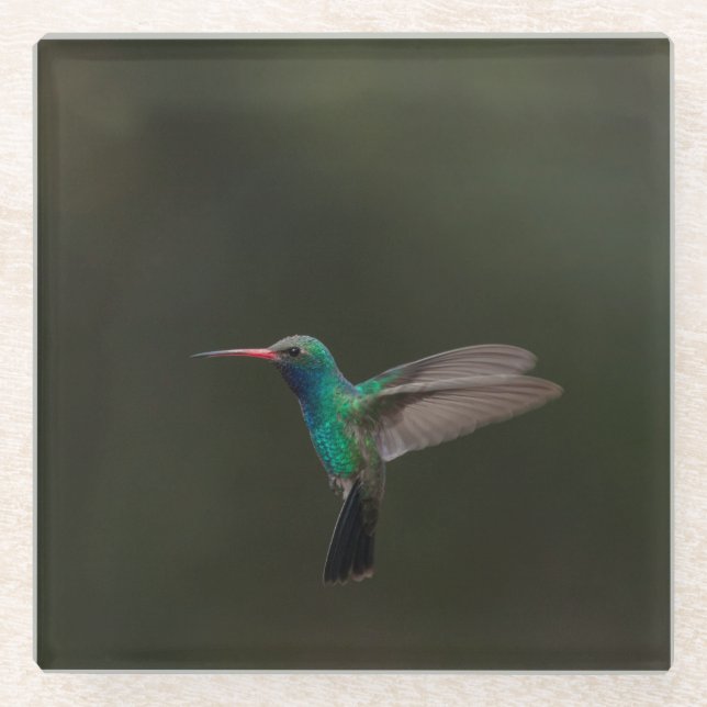 Posavasos De Vidrio Alumnaina de gran tamaño en vuelo (Anverso)