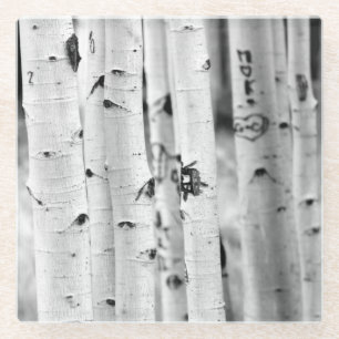 Posavasos De Vidrio Alzar el Aspen