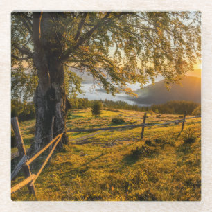 Posavasos De Vidrio Amanecer brumoso en un bosque
