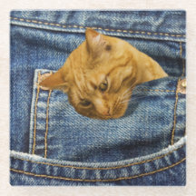 Amantes del gato lindo Regalo de Keepsake