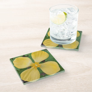Posavasos De Vidrio Amarillo Celandina Flor de Amapola