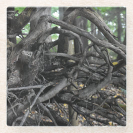 Posavasos De Vidrio Amor a un árbol caído