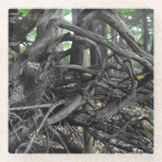 Posavasos De Vidrio Amor a un árbol caído (Anverso)