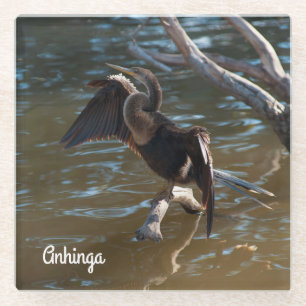 Posavasos De Vidrio Anhinga
