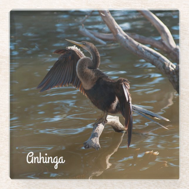 Posavasos De Vidrio Anhinga (Anverso)