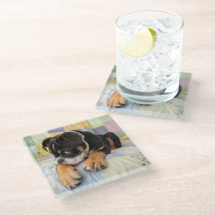 Posavasos De Vidrio Animales de bebé más afectados Antiguo y tímido