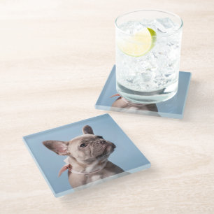 Posavasos De Vidrio Animales de bebé más afectados Bulldog francés d