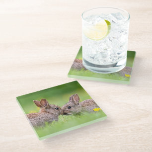 Posavasos De Vidrio Animales de bebé más afectados   Bunny Kiss