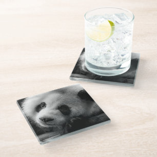 Posavasos De Vidrio Animales de bebé más afectados Cabina Gigante De