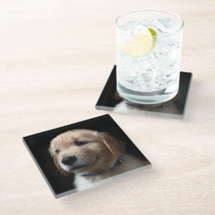 Posavasos De Vidrio Animales de bebé más afectados   Cachorro de Golde
