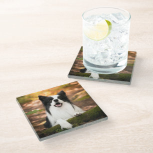 Posavasos De Vidrio Animales de bebé más afectados Color del borde b