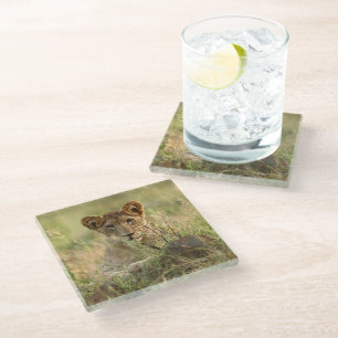 Posavasos De Vidrio Animales de bebé más afectados   Cubo de león para