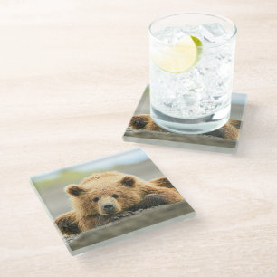 Posavasos De Vidrio Animales de bebé más afectados   Cubo de oso marró