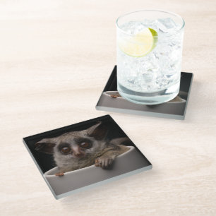 Posavasos De Vidrio Animales de bebé más afectados Cute Bushbaby