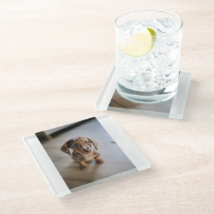 Posavasos De Vidrio Animales de bebé más afectados   Dachshund Puppy