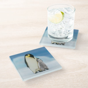 Posavasos De Vidrio Animales de bebé más afectados Emperador Pingüin