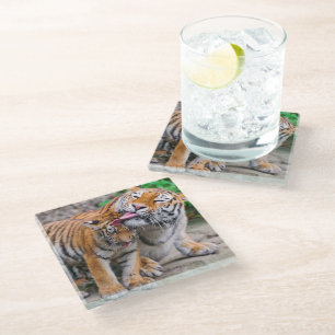 Posavasos De Vidrio Animales de bebé más afectados Familia Tigre sib