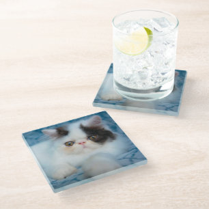 Posavasos De Vidrio Animales de bebé más afectados   Gatito blanco y n