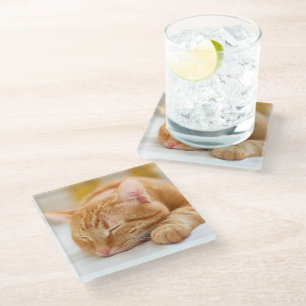 Posavasos De Vidrio Animales de bebé más afectados Gato de jengibre