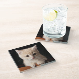 Posavasos De Vidrio Animales de bebé más afectados   Ginger Kitten
