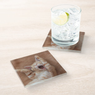 Posavasos De Vidrio Animales de bebé más afectados   Ginger Kitten Yaw