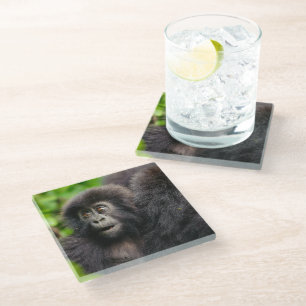 Posavasos De Vidrio Animales de bebé más afectados Gorila de montaña