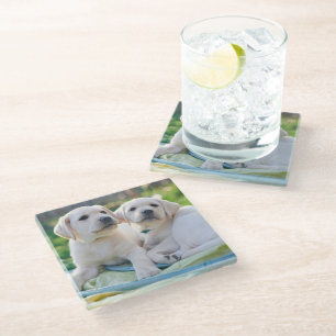 Posavasos De Vidrio Animales de bebé más afectados Labradores amaril