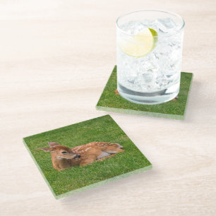 Posavasos De Vidrio Animales de bebé más afectados   Little Fawn
