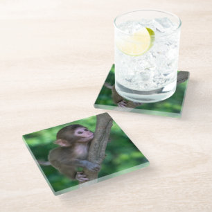 Posavasos De Vidrio Animales de bebé más afectados Mono bebé