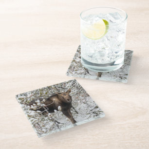 Posavasos De Vidrio Animales de bebé más afectados Moose Calf
