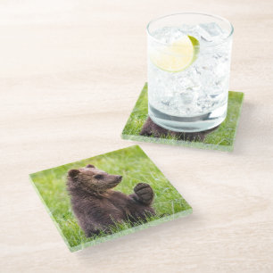 Posavasos De Vidrio Animales de bebé más afectados Ola de Oso Marrón