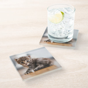 Posavasos De Vidrio Animales de bebé más afectados Pequeño Gatito De