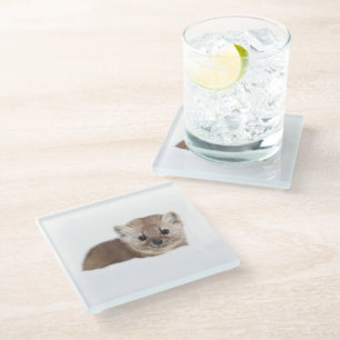 Posavasos De Vidrio Animales de bebé más afectados Pine Marten