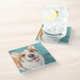 Posavasos De Vidrio Animales de bebé más afectados Sonrisa de cachor