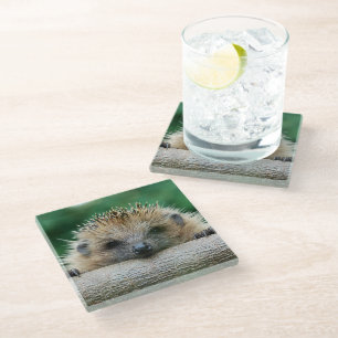 Posavasos De Vidrio Animales de bebé más afectados Sonrisa de edgeho