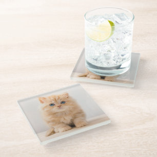 Posavasos De Vidrio Animales de bebé más afectados Un Gatito Británi