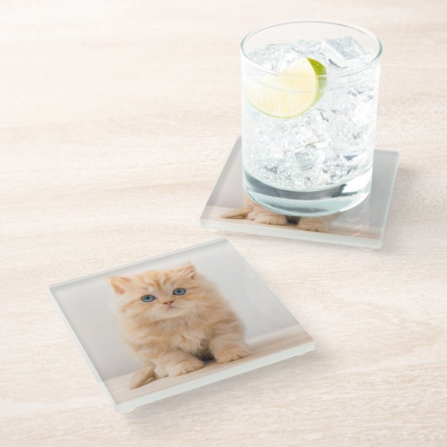 Posavasos De Vidrio Animales de bebé más afectados | Un Gatito Británi (Angular)